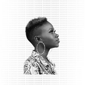 清朝古代一级毛片
