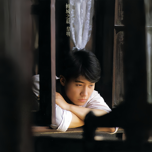 清朝古代一级毛片
