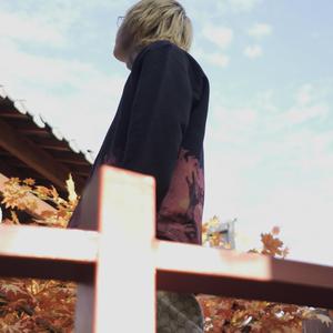 清朝古代一级毛片
