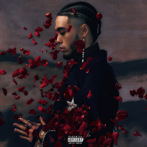 清朝古代一级毛片
