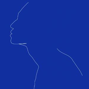 清朝古代一级毛片
