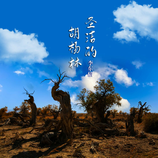 清朝古代一级毛片
